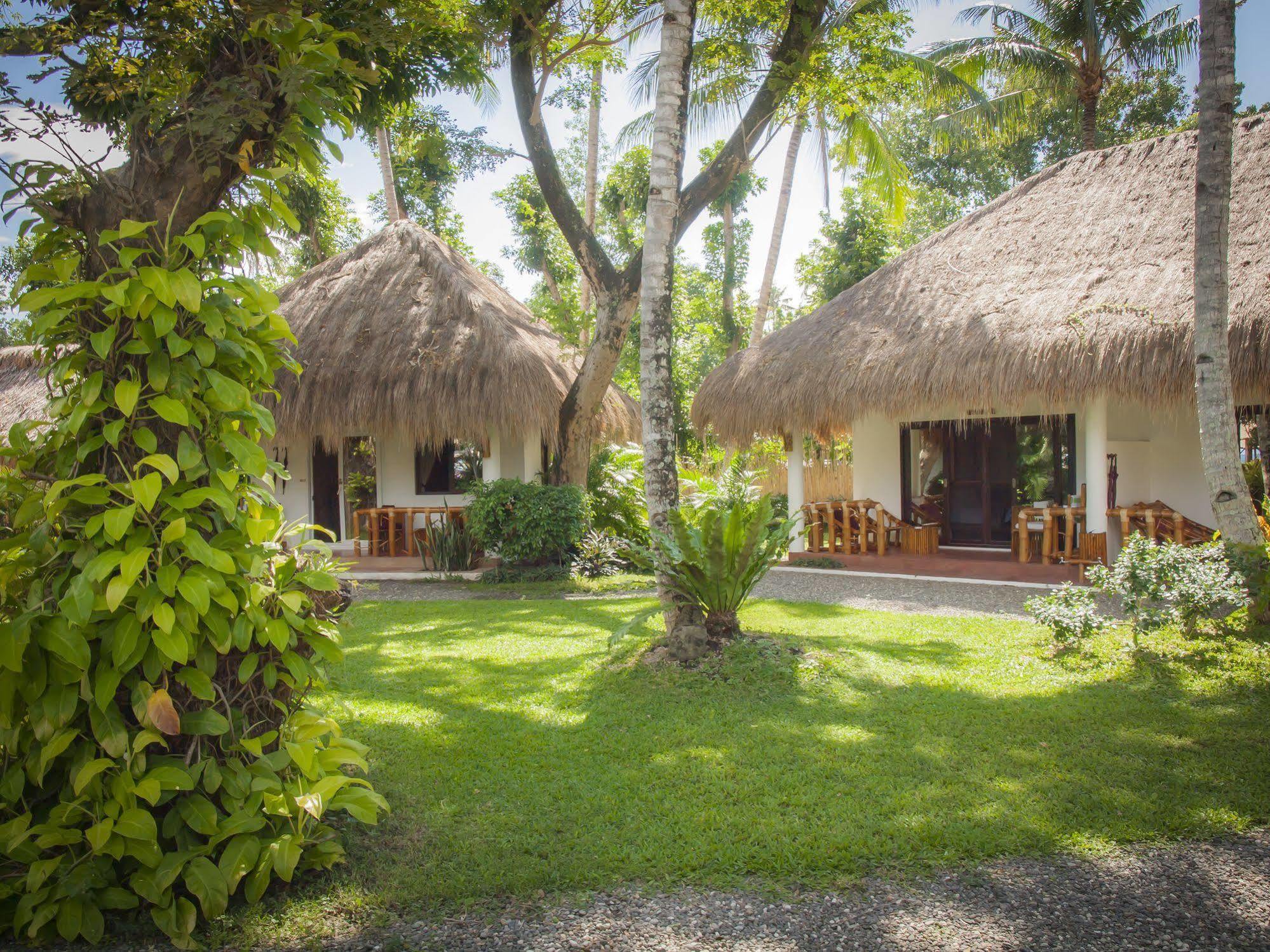 Pura Vida Beach & Dive Resort Dauin Exterior photo